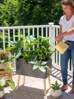 Ava Self-Watering Rectangular Planter 11 Ava Self-Watering Rectangular Planter -Default Template 3 8612691 0011 1