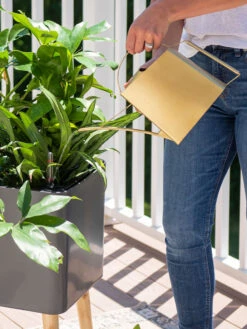 Precision Brass Watering Can -Default Template 3 8612691 0011