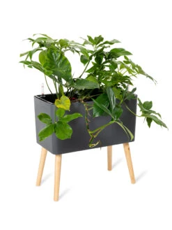 Ava Self-Watering Rectangular Planter 12 Ava Self-Watering Rectangular Planter -Default Template 3 8612691 0013