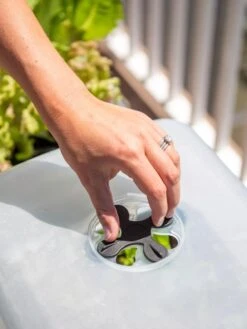 Self-Watering Standing Salad Planter With Cloche -Default Template 3 8612702 2034 tif