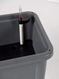 Self-Watering Standing Salad Planter With Cloche -Default Template 3 8612702 305 tif