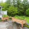 Craftsbury Elevated Raised Beds
