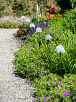 Dandelion Solar Stake -Default Template 3 8612713 4472