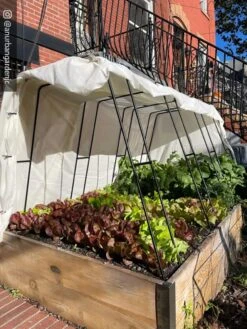 Cotton All Purpose Garden Cover -Default Template 3 8612816 01CUST