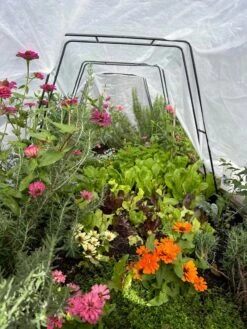 All-Purpose Garden Fabric -Default Template 3 8612816 01TEST