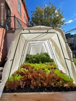 Cotton All Purpose Garden Cover -Default Template 3 8612816 03CUST