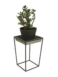 Achla Designs Arne Plant Stand 12 Achla Designs Arne Plant Stand -Default Template 3 8612899 03v