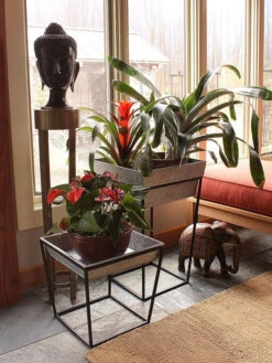 Achla Designs Arne Plant Stand 11 Achla Designs Arne Plant Stand -Default Template 3 8612900 03v