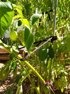 Farmyarn® Multipurpose Garden Tie, 2 Pack -Default Template 3 8612948 02v