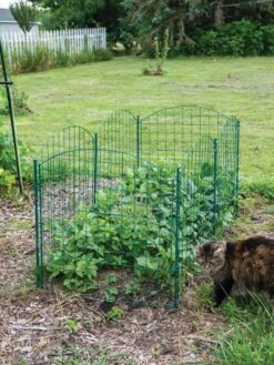 6 Panel Critter Fence With Gate -Default Template 3 8612967 2570 tif