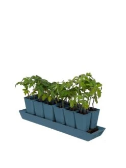 Gardener's Best® XL Seed Starting Kit -Default Template 3 8613066 0029