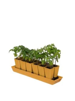 Gardener's Best® XL Seed Starting Kit -Default Template 3 8613066 1029