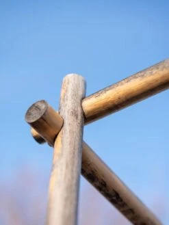 Bambo A Frame Plant Support, 30" X 42.5" -Default Template 3 8613143 0385 3