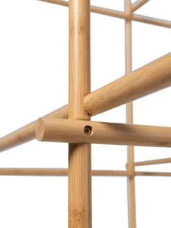 Tomato Six Pack Support -Default Template 3 8613143 5407