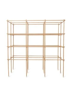 Tomato Six Pack Support -Default Template 3 8613143 5408