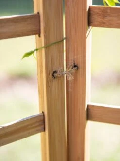 Bamboo Zig-Zag Trellis 24" X 36" -Default Template 3 8613151 6483