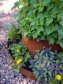 Birdies™ Corten Steel Tiered Round Raised Bed Kit, Tall -Default Template 3 8613245 0195