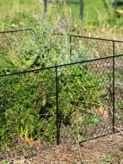 Chicken Wire Critter Fence, 16" High -Default Template 3 8613249 0352