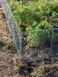 Chicken Wire Critter Fence, 16" High -Default Template 3 8613249 0358