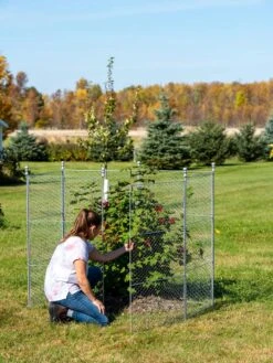 Tall Chicken Wire Critter Fence With Gate -Default Template 3 8613260 0044