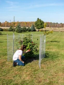 Tall Chicken Wire Critter Fence Extension Panel, Set Of 2 -Default Template 3 8613260 0090