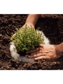 Hortiwool ®, 5 Pad Pack 11 Hortiwool ®, 5 Pad Pack -Default Template 3 8613263 06v 1