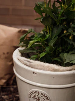 Hortiwool ®, 5 Pad Pack 14 Hortiwool ®, 5 Pad Pack -Default Template 3 8613263 17v