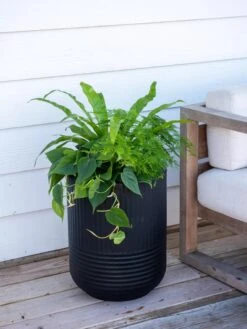 Front Page -Default Template 3 8613267 0111