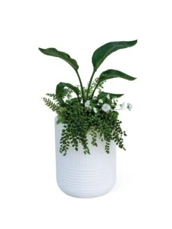Arden Round Planter -Default Template 3 8613267 0115