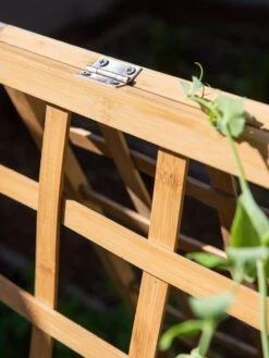 Bambo A Frame Plant Support, 30" X 42.5" -Default Template 3 8613310 6525