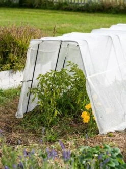 All-Purpose Garden Fabric -Default Template 3 8613313 0133