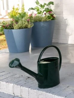 Front Page -Default Template 3 8613346 0142 long reach watering can large