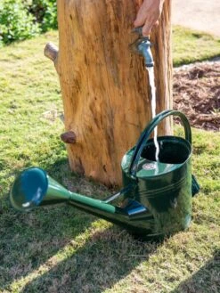 Long Reach Watering Can, Large -Default Template 3 8613346 0147