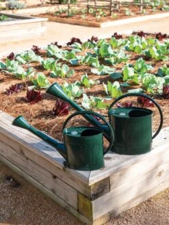 Long Reach Watering Can, Large -Default Template 3 8613346 0148 1