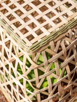 Bamboo Cloche, Set Of 2 -Default Template 3 8613351 0154