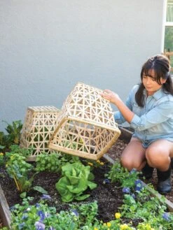 Bamboo Cloche, Set Of 2 -Default Template 3 8613351 6862