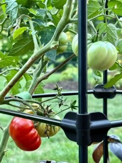 Oasis Self-Watering Tomato Planter With Trellis -Default Template 3 8613440 01TEST