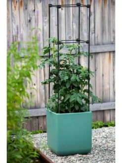 Oasis Self-Watering Tomato Planter With Trellis -Default Template 3 8613440 0373 3 4