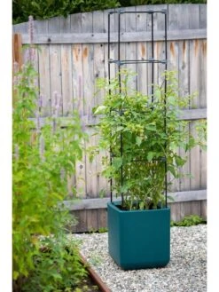 Oasis Self-Watering Tomato Planter With Trellis -Default Template 3 8613440 0376 3 4 2