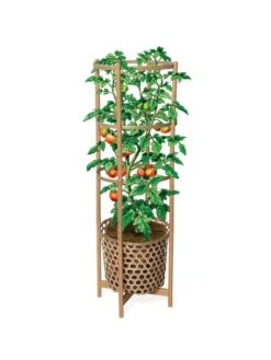 Elevated Bamboo Tomato Planter And Trellis -Default Template 3 8613502 art flat