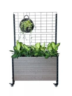 Mobile Deep Trough Planter With Trellis -Default Template 3 8614265 03V
