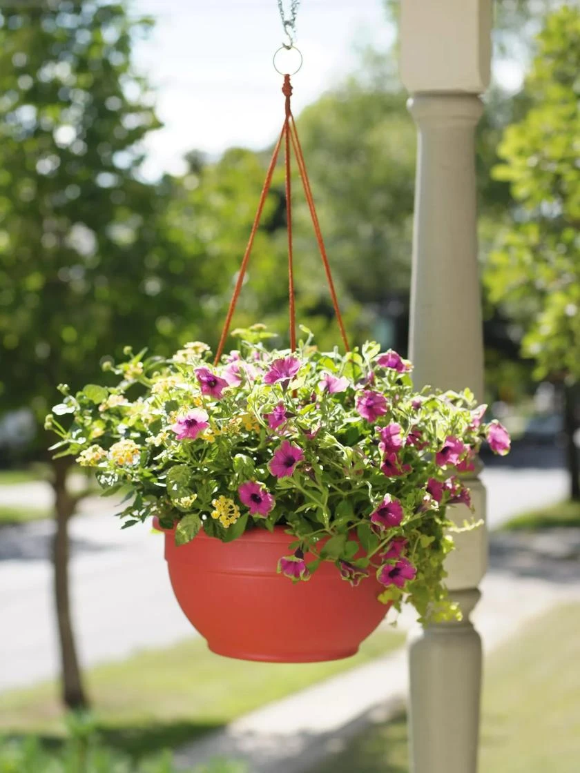 Self-Watering Hanging Basket 1 Self-Watering Hanging Basket
