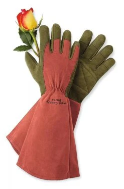 Rose Gloves 5 Rose Gloves -Default Template 3 GS36874 01Z tif