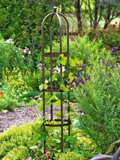 Jardin Bird Cage Support, 26" -Default Template 3 GS39529 01 tif
