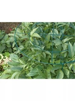 Grow Through Supports, Set Of 3 7 Grow Through Supports, Set Of 3 -Default Template 3 GS40172 01 1