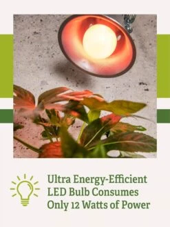 Miracle LED® Absolute Daylight™ Max Flowering Grow Light Bulb 9 Miracle LED® Absolute Daylight™ Max Flowering Grow Light Bulb -Default Template 3 Miracle Daylight Bulb 2