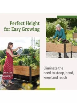 Self-Watering Eco-Stained Elevated Planter Box, 2' X 8' -Default Template 3 b00eow8fhu raisedbed benefits 2