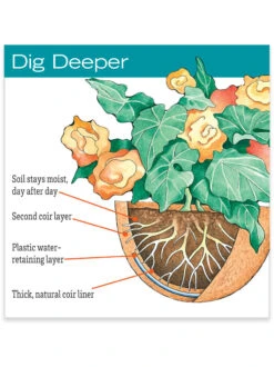 AquaSav™ Replacement Liners, Set Of 3 6 AquaSav™ Replacement Liners, Set Of 3 -Default Template 3 hiw 38 583