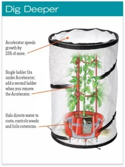 Tomato TLC Kits, Set Of 3 -Default Template 3 hiw 8594214 jpg