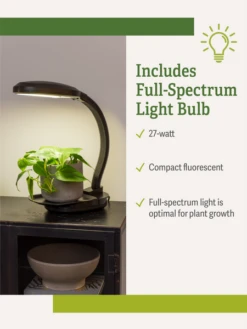 Agrobrite Desktop Plant Light -Default Template 3 webimage Agrobrite Desktop